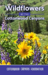 Wildflowers of the Cottonwood Canyons cover
