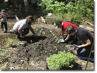 Cottonwood Canyons Foundation