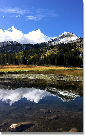 Cottonwood Canyons Foundation