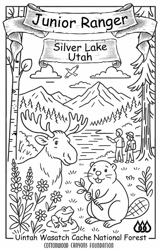 Junior Ranger Silver Lake Book